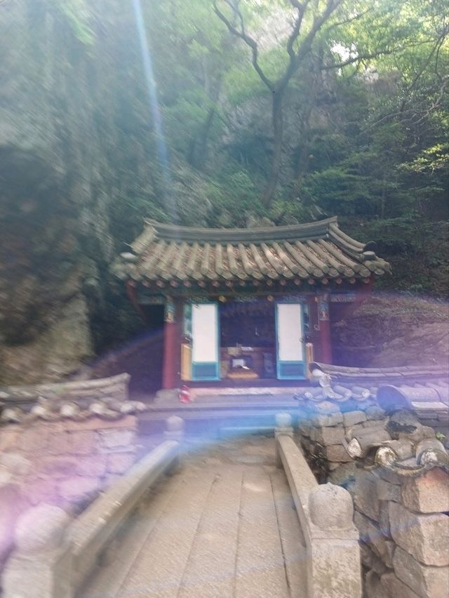 편백 숲길 따라 천년 고찰까지의 상쾌한 숲속 산책🌲