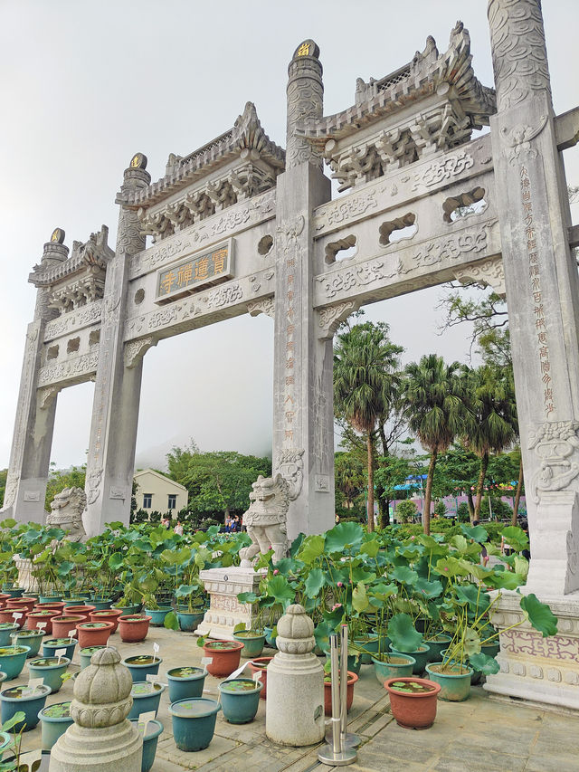 港都全球最高戶外青銅坐佛