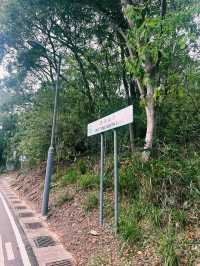上水古洞水塘 - 隱世打卡心形湖🩵