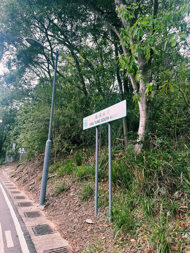 上水古洞水塘 - 隱世打卡心形湖🩵