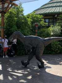 【大阪🇯🇵】ユニバーサルスタジオジャパン🌏✨