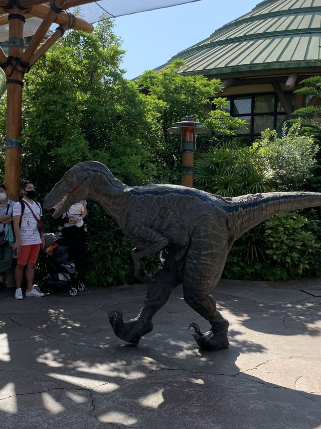 【大阪🇯🇵】ユニバーサルスタジオジャパン🌏✨