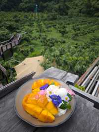 Khao Yai is the place to go when you have European taste but Bangkok budget 😉