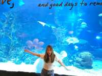Sea Life Bangkok Ocean World ต้องมาให้ได้!