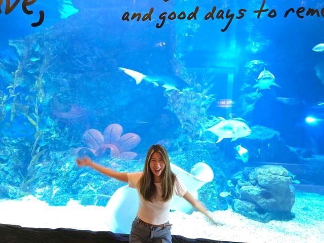 Sea Life Bangkok Ocean World ต้องมาให้ได้!