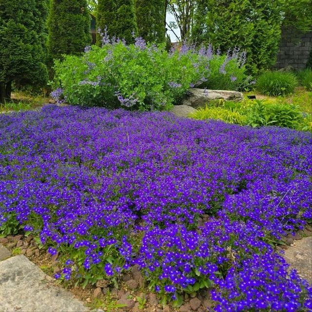 The Stay Healing Park