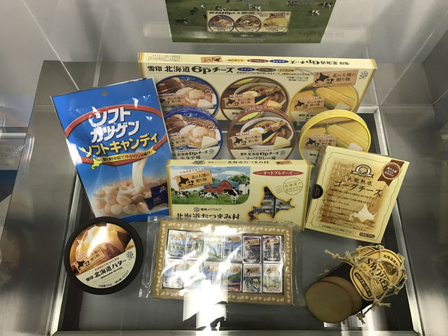 🥛 Tasty and Educational Fun at Megmilk Snow Brand Factory