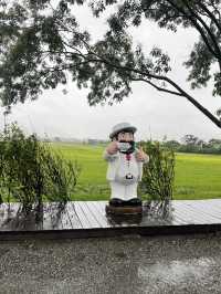 💦雨天版伯朗大道｜金城武樹水鏡奇景 ，其實遺憾也是旅途的一部分！