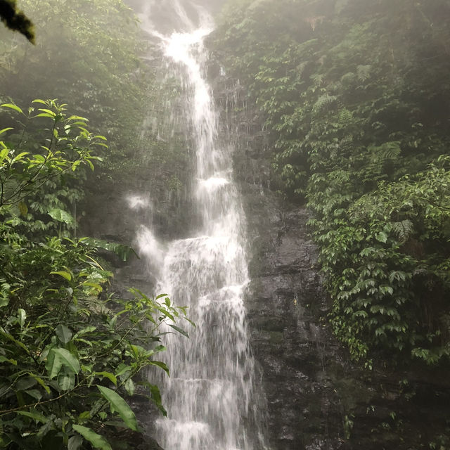 新竹馬武督森林遊樂區🌳