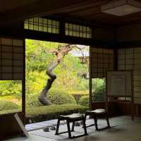 清淨院～美麗日式枯山水庭園