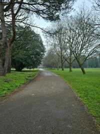 Gorsedd Gardens Raod