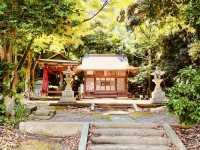Hiratsuka's Hidden Summit: A Summer Morning Hike to Mt. Koma (駒ヶ岳)
