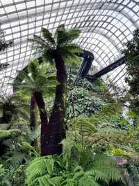 Jurassic World Adventure You Can’t Miss This Summer