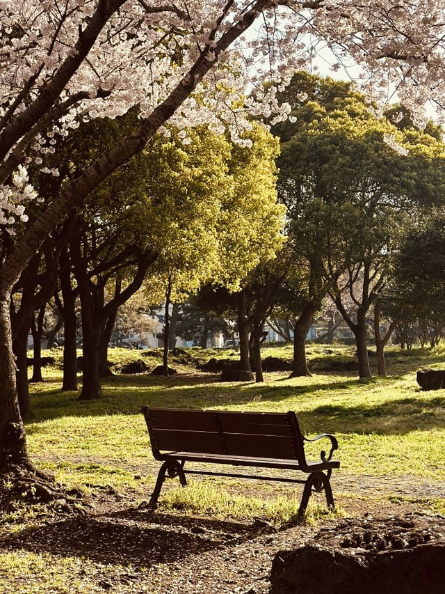 A Peaceful Local Green Space for Relaxation