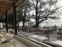 นเนอร์ริมทะเลในเรือนกระจกสุดโรแมนติก