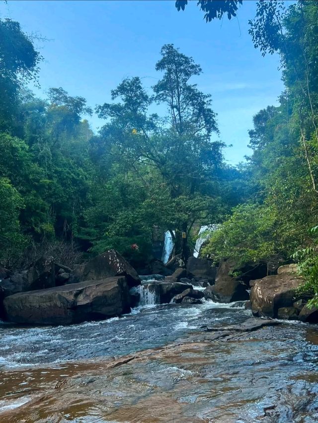 Jungle Meets Sea