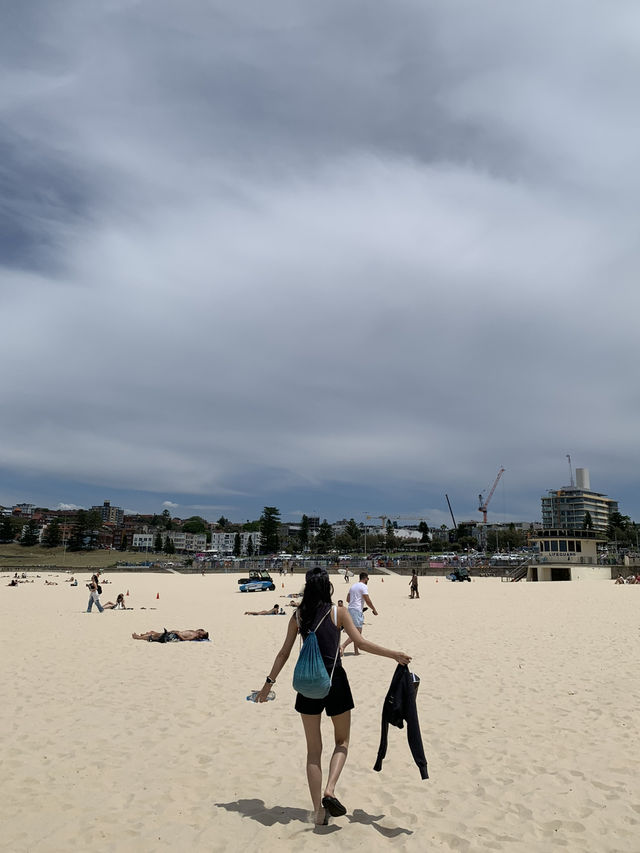 한여름의 크리스마스, 호주 시드니 🇦🇺
