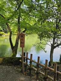 金澤｜兼六園涓流水泉之美