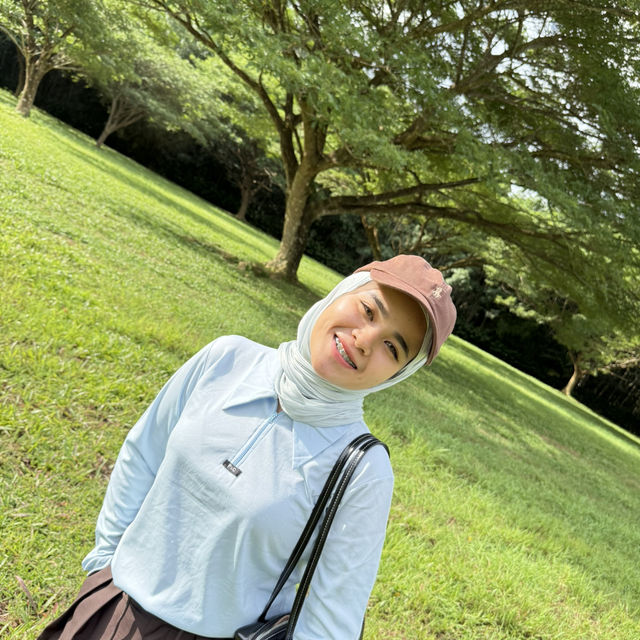 ต้นจามจุรียักษ์ พังงา 🌳