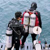 ดำน้ำลึกแสมสาร กับเรือ Great White Shark 