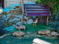  ยุฟุอิน ฟลอรัล วิลเลจ (Yufuin floral village)