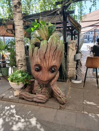 이아시 중심에서 여유 한 잔