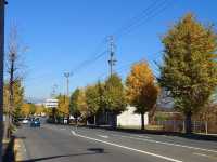 日本東北山形縣賞和牛 米澤車站周邊遊