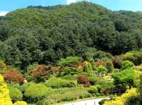 Garden of Morning Calm – A Serene Escape Near Seoul