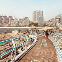 🌊 Solo Escape: Haeundae & Gwangalli – Busan’s Beachside Bliss