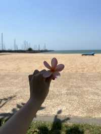 เที่ยวชลบุรี