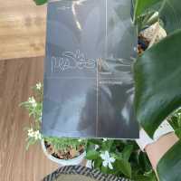 🕊️ Hide and Sip Coffee – คาเฟ่เล็กๆใน