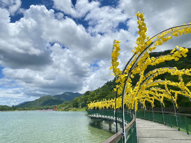 鯉魚潭 花蓮FUN 暑假 cool涼一夏