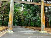 Echoes of Edo at Kan'ei-ji Temple complex