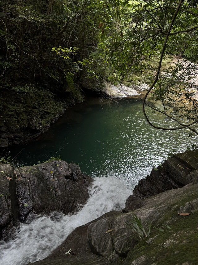 Hiking in Bạch Mã — Waterfalls, Jungle & Quiet Moments ⛰️🌧️