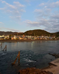 [Japan 🇯🇵] Uji & Byodo-in Hoodo: A Serene Escape to Matcha Paradise!