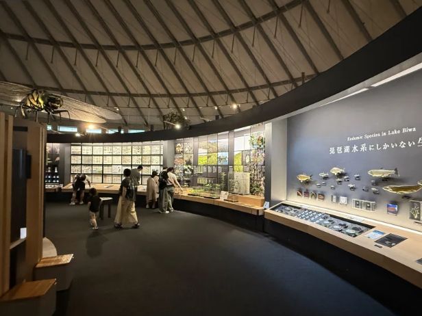 Shiga Prefectural Biwako Museum: All About Lake Biwa (and Expo Stamps!) 🇯🇵🐟