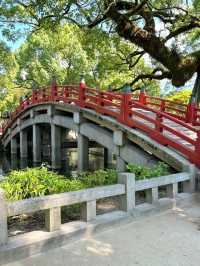 Wishes and Walks at Dazaifu Tenmangu Shrine