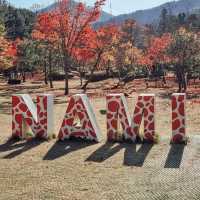 Nami Island: A Fairytale Day Trip from Seoul – Solo Traveler’s Ultimate Guide"** 🌲🚢
