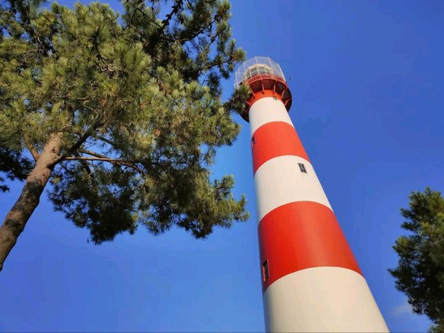 A Chill Walk at Poti Sea Port 