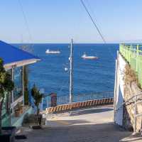 Donghae’s Hidden Gems: A Seaside & Street Art Adventure"** 🌊🎨