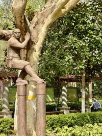 Beyond the Museum Walls: A Morning Stroll at Wenbo Park