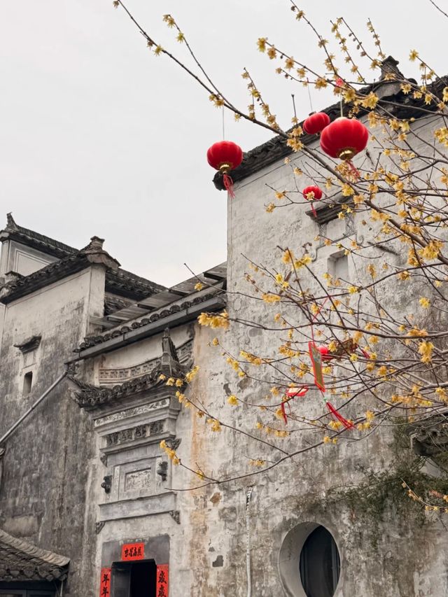 Built in Ink, Preserved in Stone: The Art of Hongcun