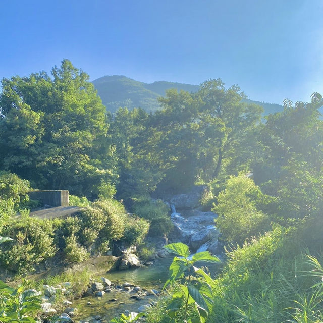 산청의 여름, 맑은 물에 발 담그고 힐링하기 🍃