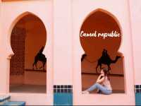 camel Republic 🐫 ที่ไม่ได้มีดีแค่อูฐ