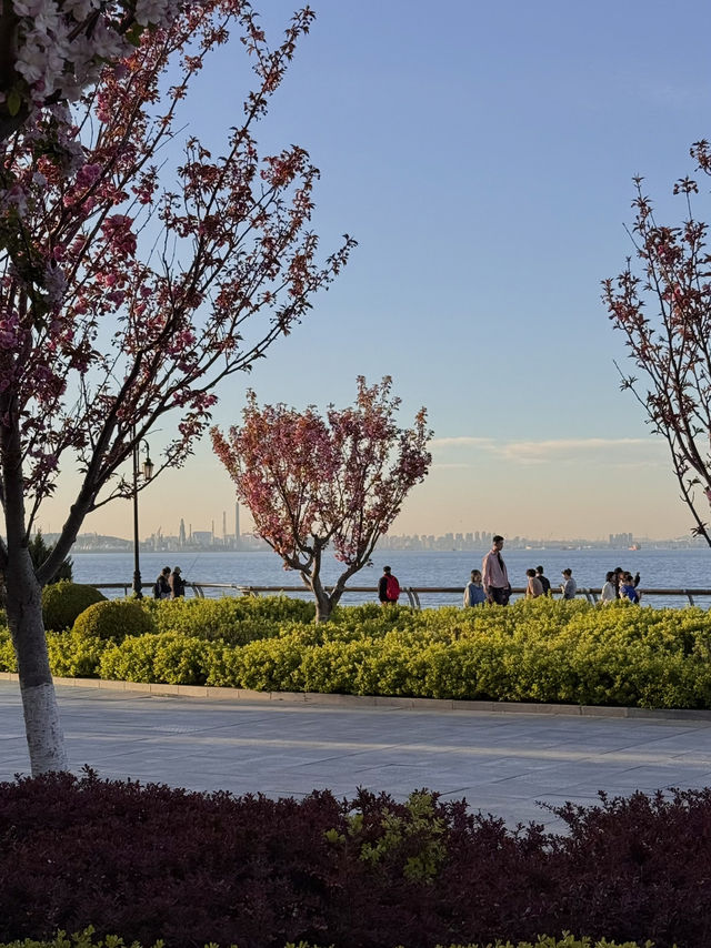Embankment in Dalian got such a glow-up! ✨ Seriously, it's looking amazing now.