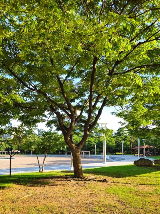 송도 이쁜 공원