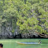 The Hidden Beauty of Palawan 🌊🌿