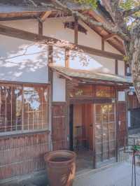 　【広島/宮島】絶景カフェだから絶対行って