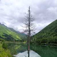 Shuangqiao Valley at Mt Siguniang