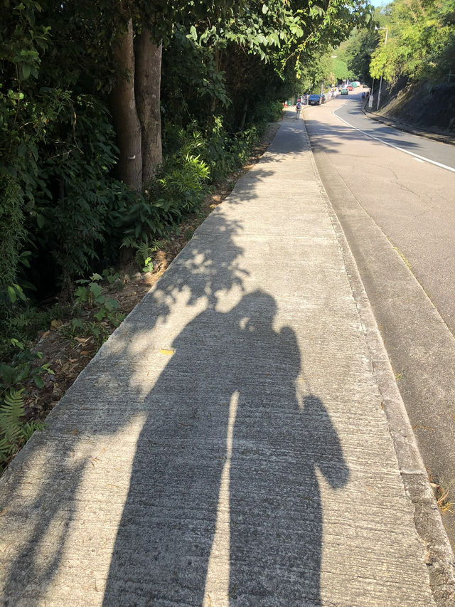 Exploring Nature at Hoi Ha Visitor Centre in Sai Kung 🇭🇰